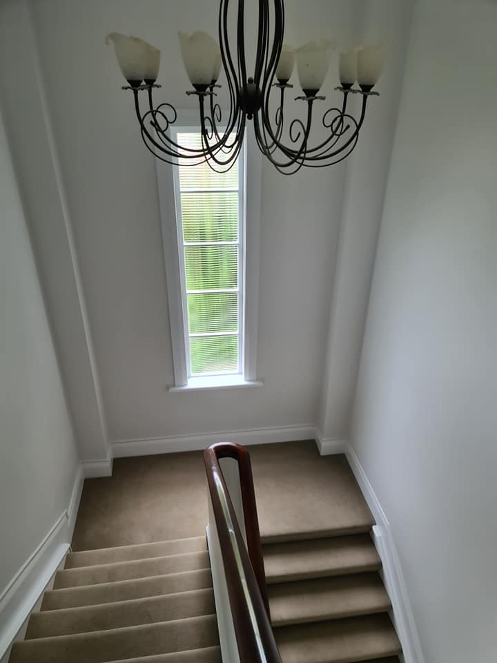 157784632_947393449346227_5823603790011933378_n