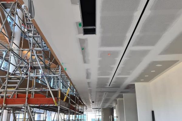 122843216_858650271553879_3017427979988379976_n